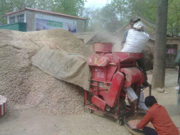 榨油機(jī)用戶訪問(wèn)：鄉(xiāng)鎮(zhèn)之間榨油坊生意如何？