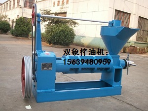 雙象榨油機(jī)如何安裝固定？